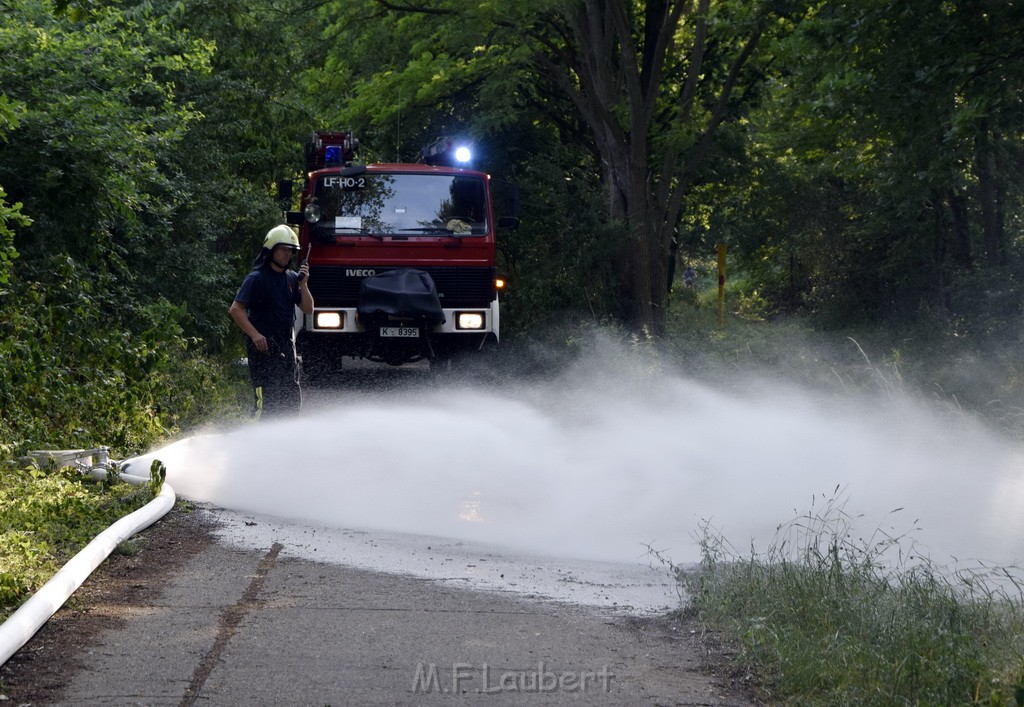 Waldbrand Koeln Hoehenhaus Hoehenfelder Mauspfad P029.JPG - Miklos Laubert